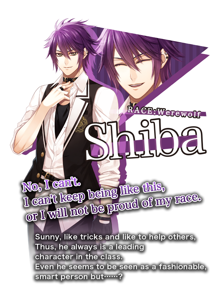 Shibaの詳細